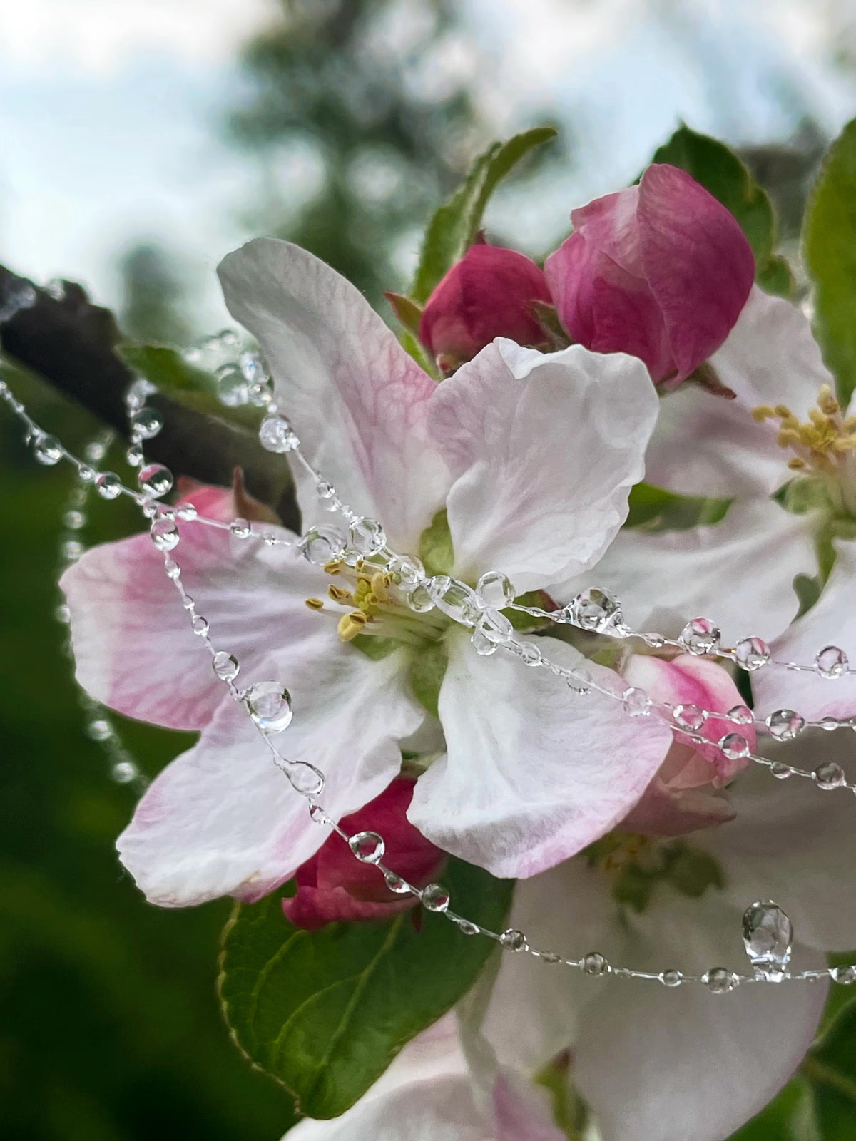 "Handmade"Whispers of Elegance – A Necklace Inspired by Nature