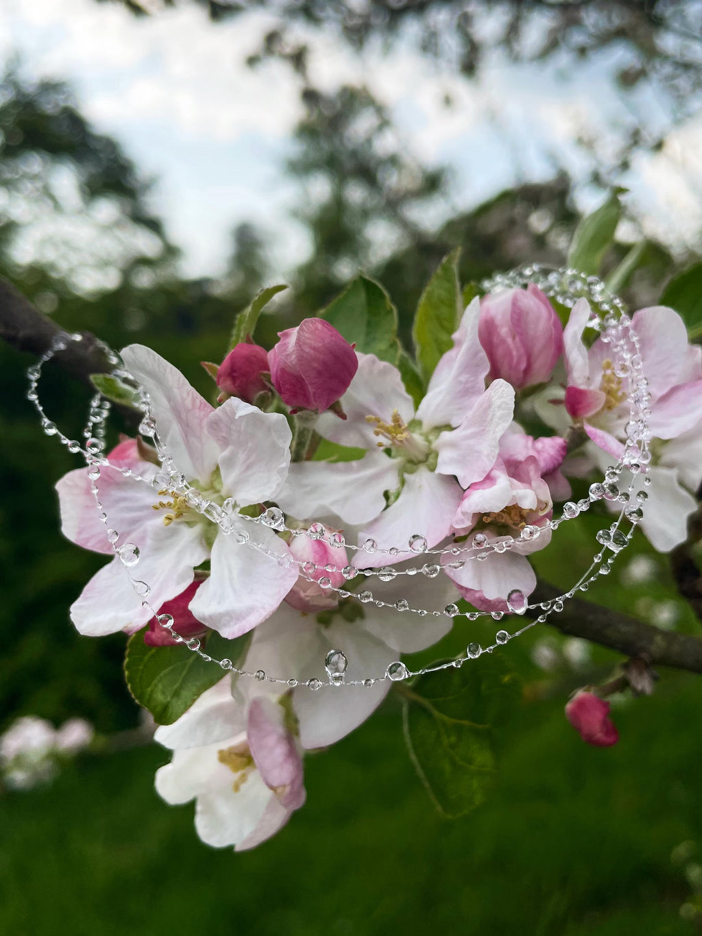 "Handmade"Whispers of Elegance – A Necklace Inspired by Nature