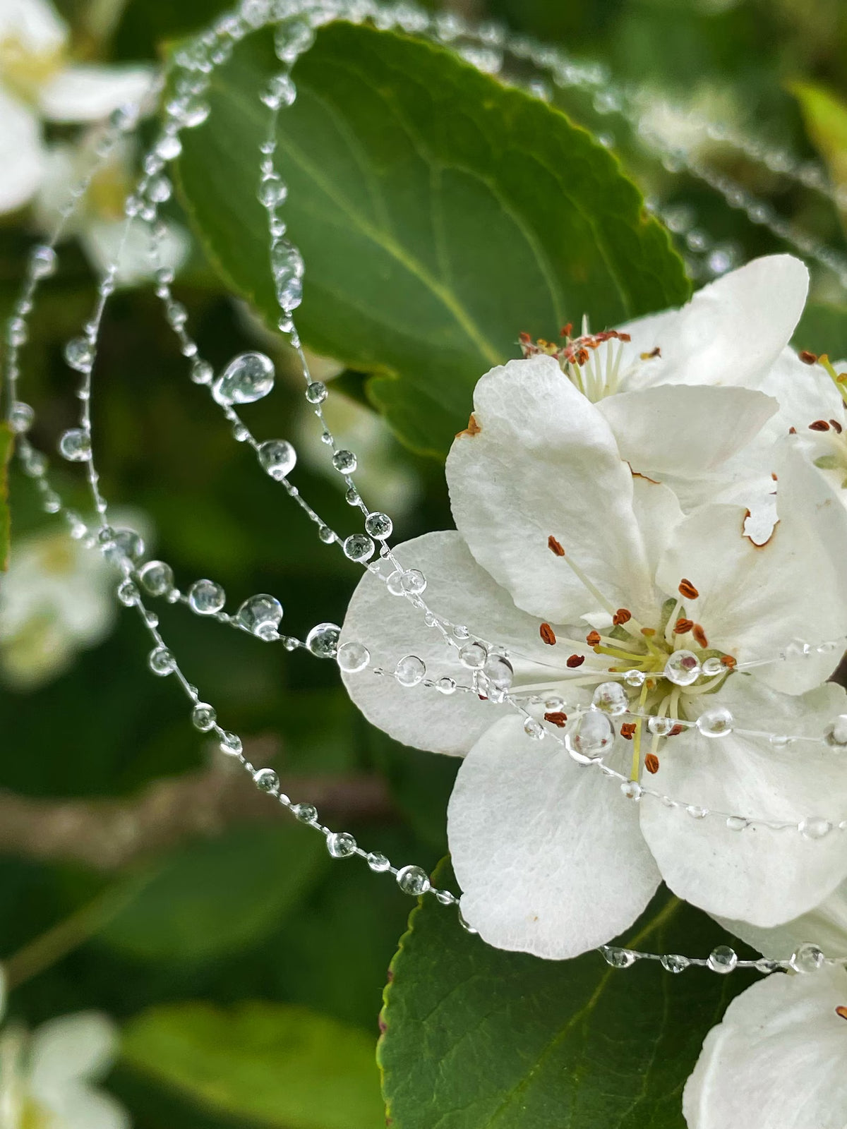 "Handmade"Whispers of Elegance – A Necklace Inspired by Nature