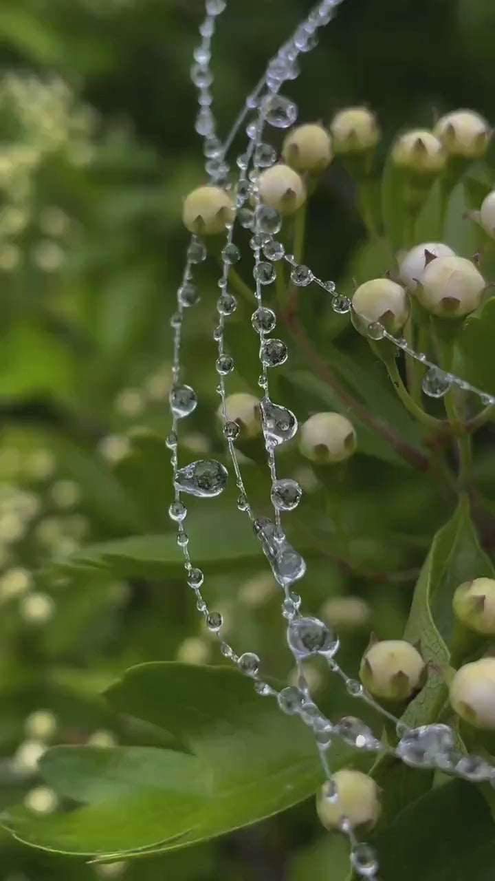 "Handmade"Whispers of Elegance – A Necklace Inspired by Nature